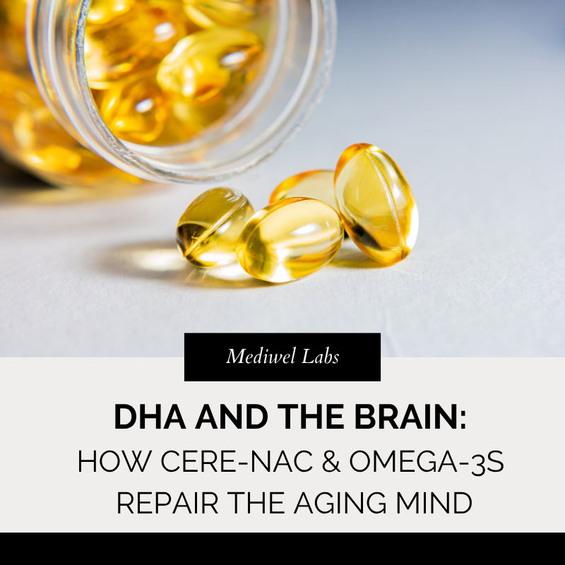 DHA and the Brain: How Cere-NAC and Omega-3s Repair the Aging Mind