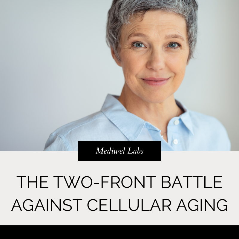 The Two-Front Battle Against Cellular Aging
